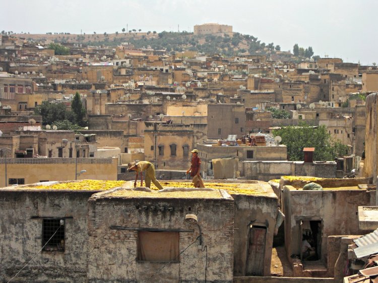 Tellados en Fes
