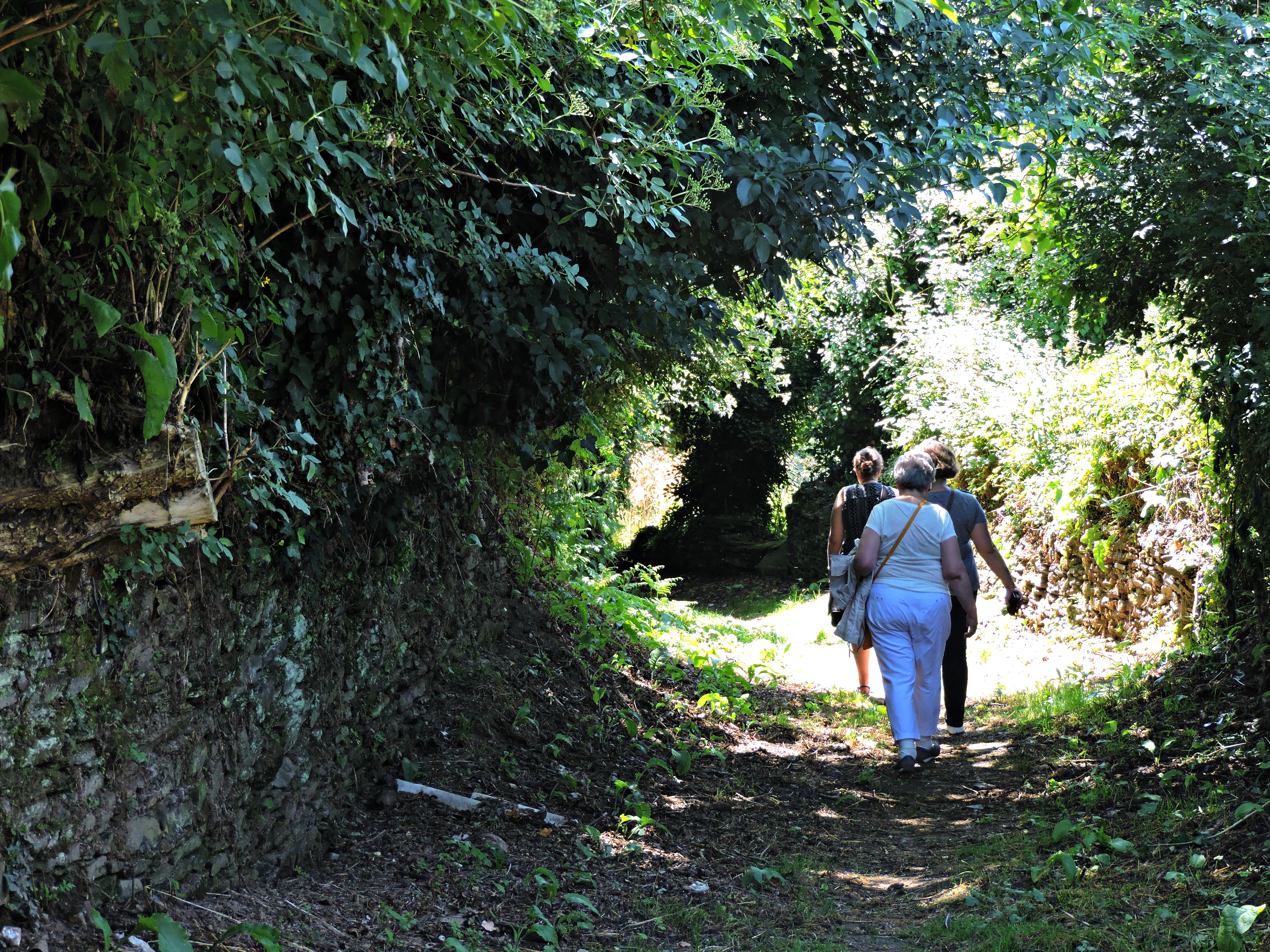 Regueiro das Hortas (Lugo)