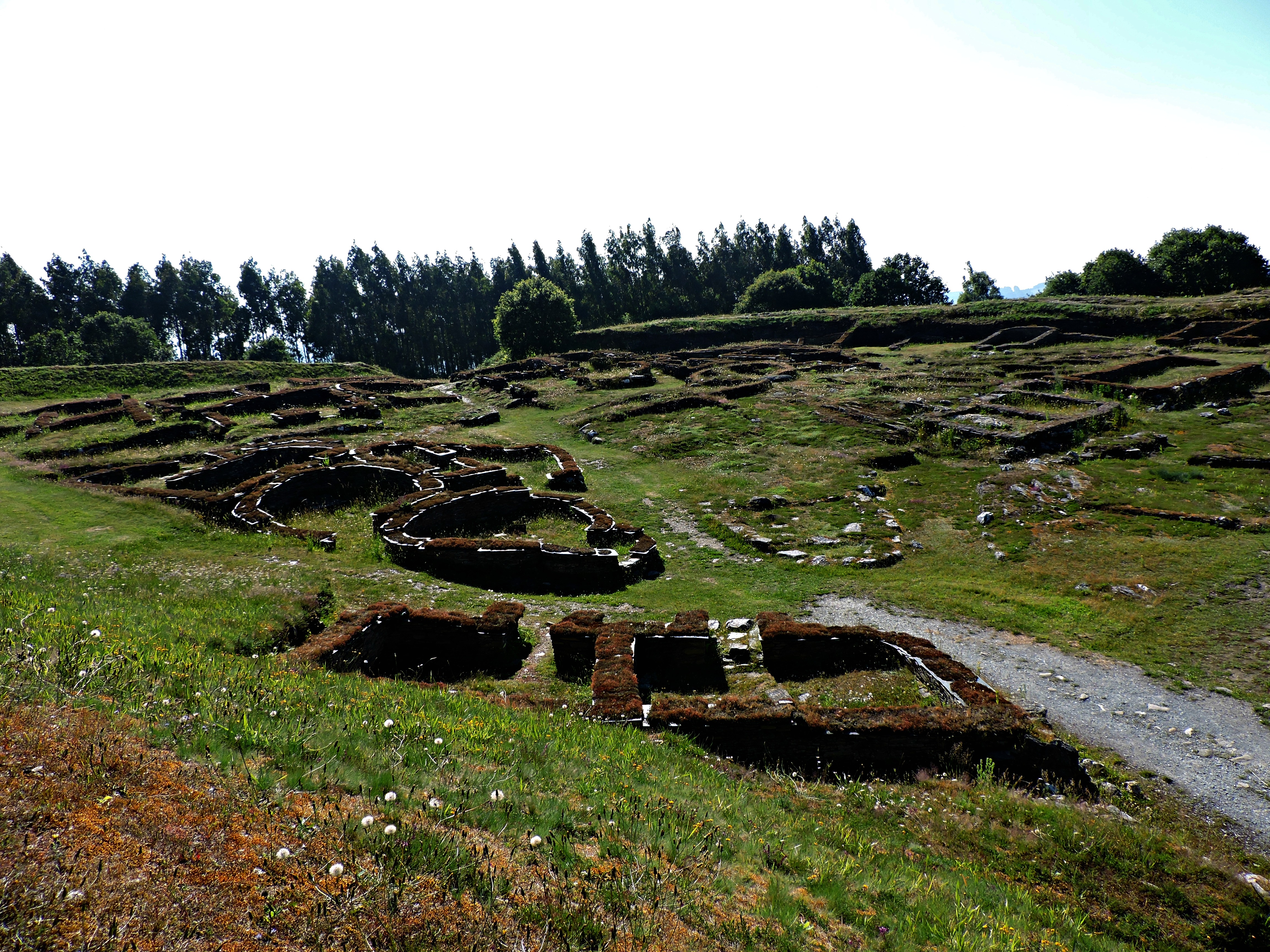 Castro de Viladonga