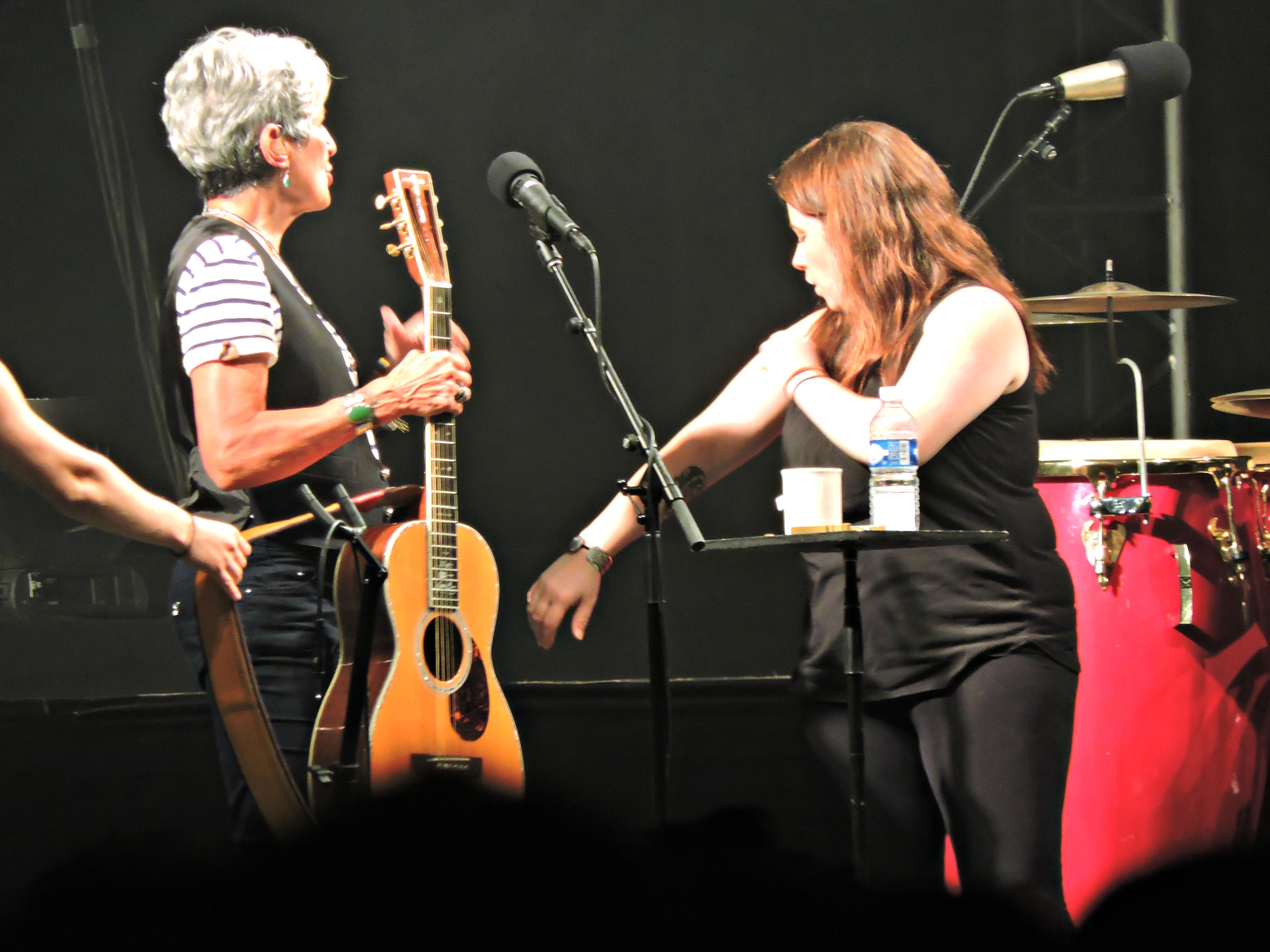 Joan Baez - FIL 2016