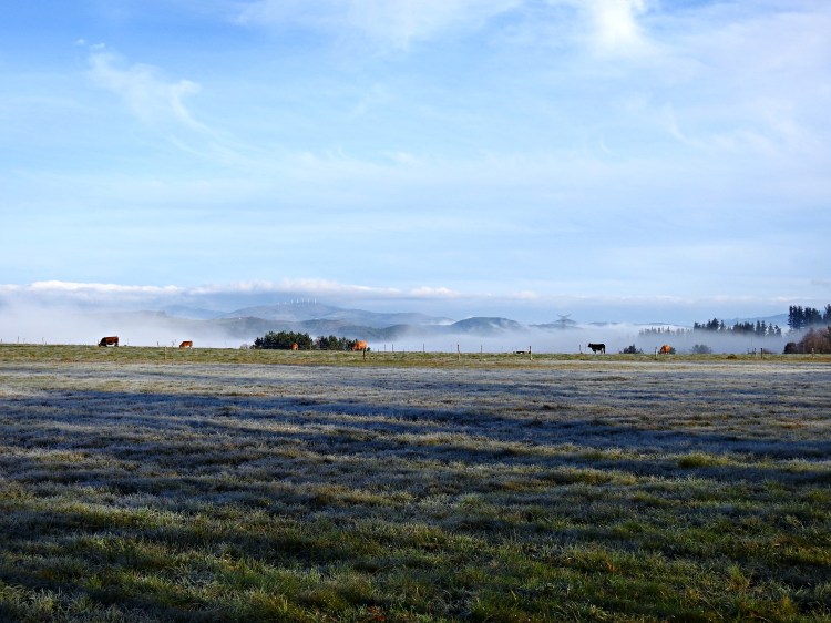 Paisaxes xeadas eonaviegas no concello de Grandas