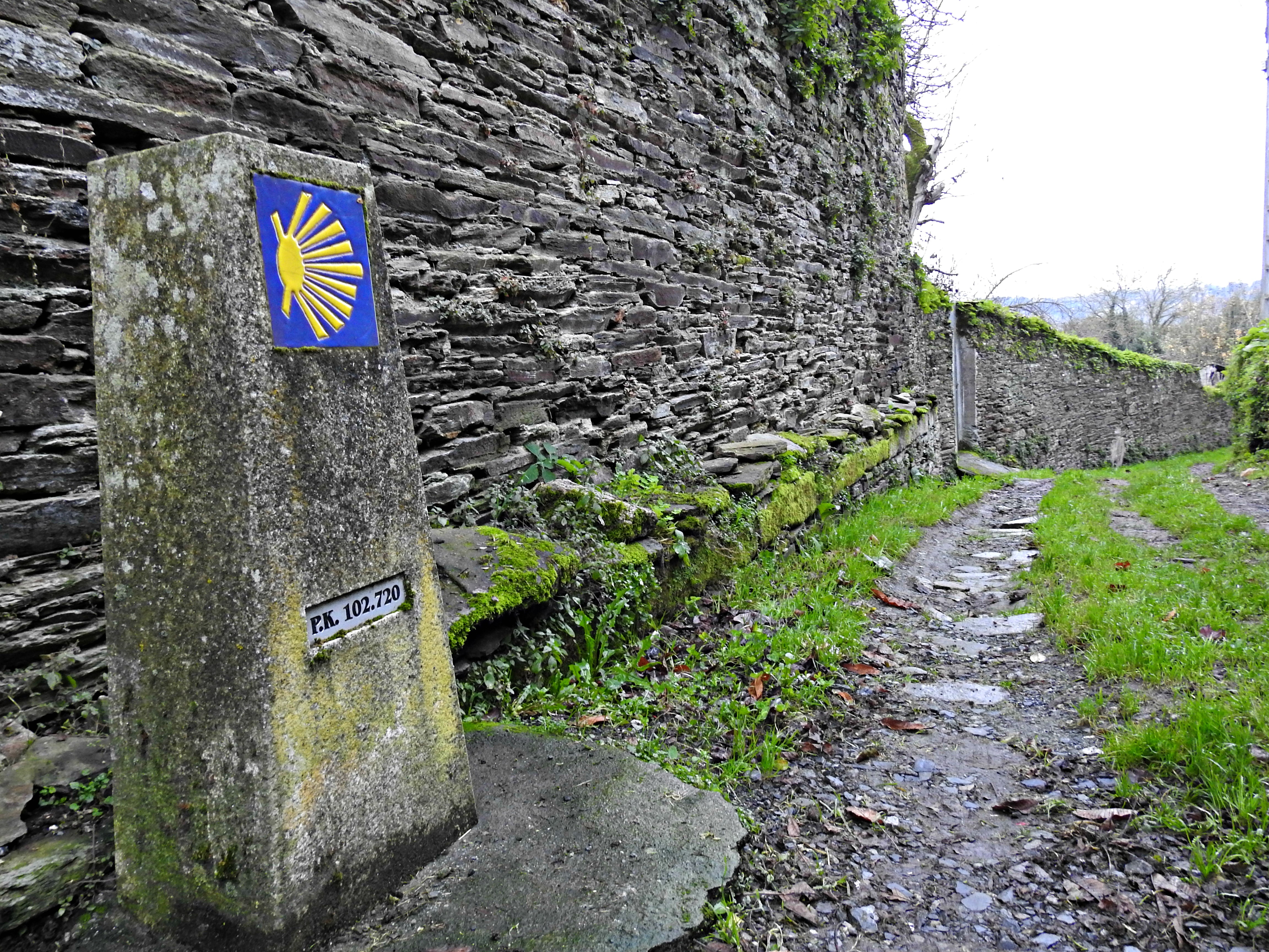 O Camiño Primitivo no lucense barrio do Carme