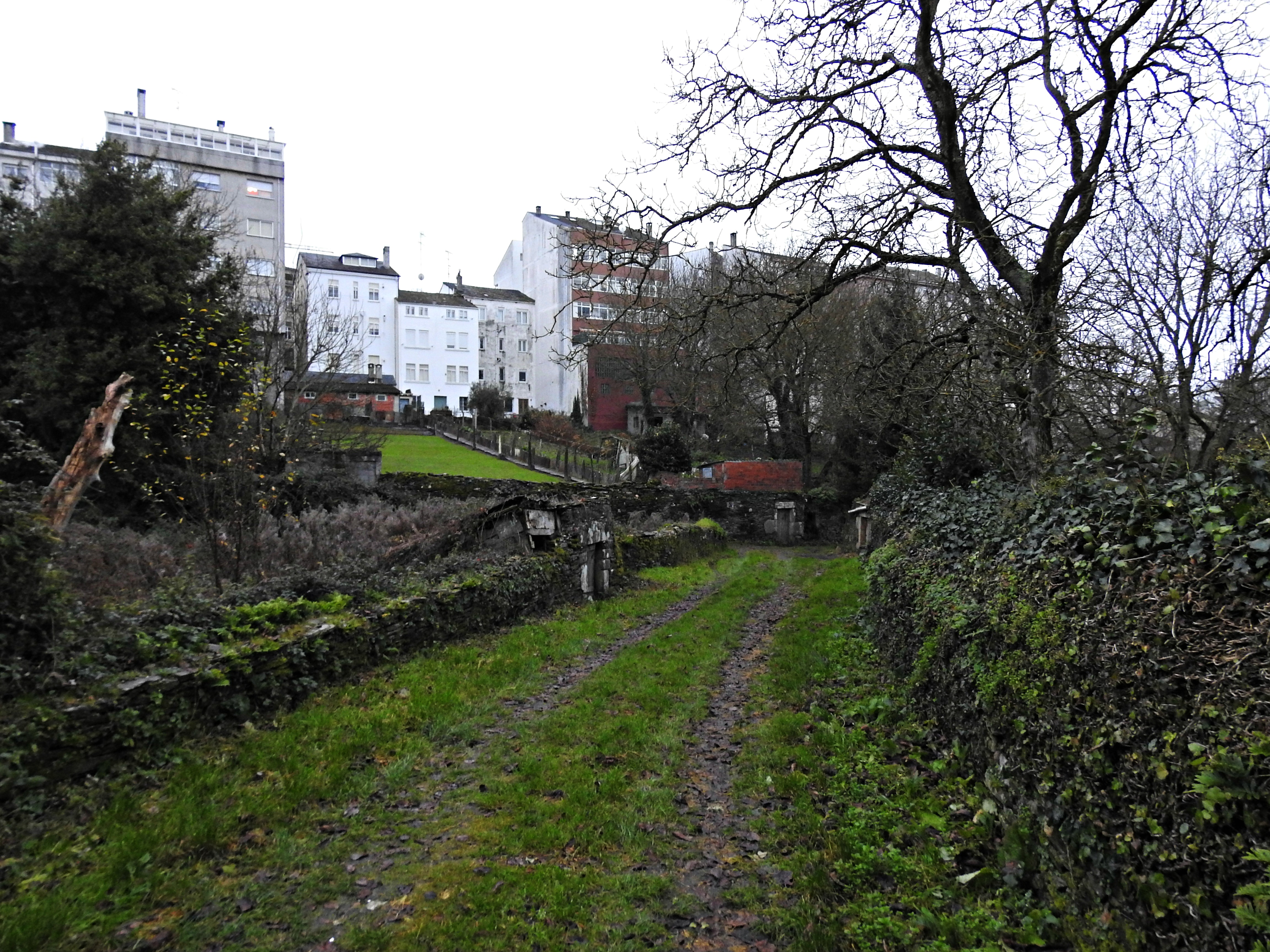 Regueiro das Hortas, Camiño Primitivo no lucense barrio do Carme