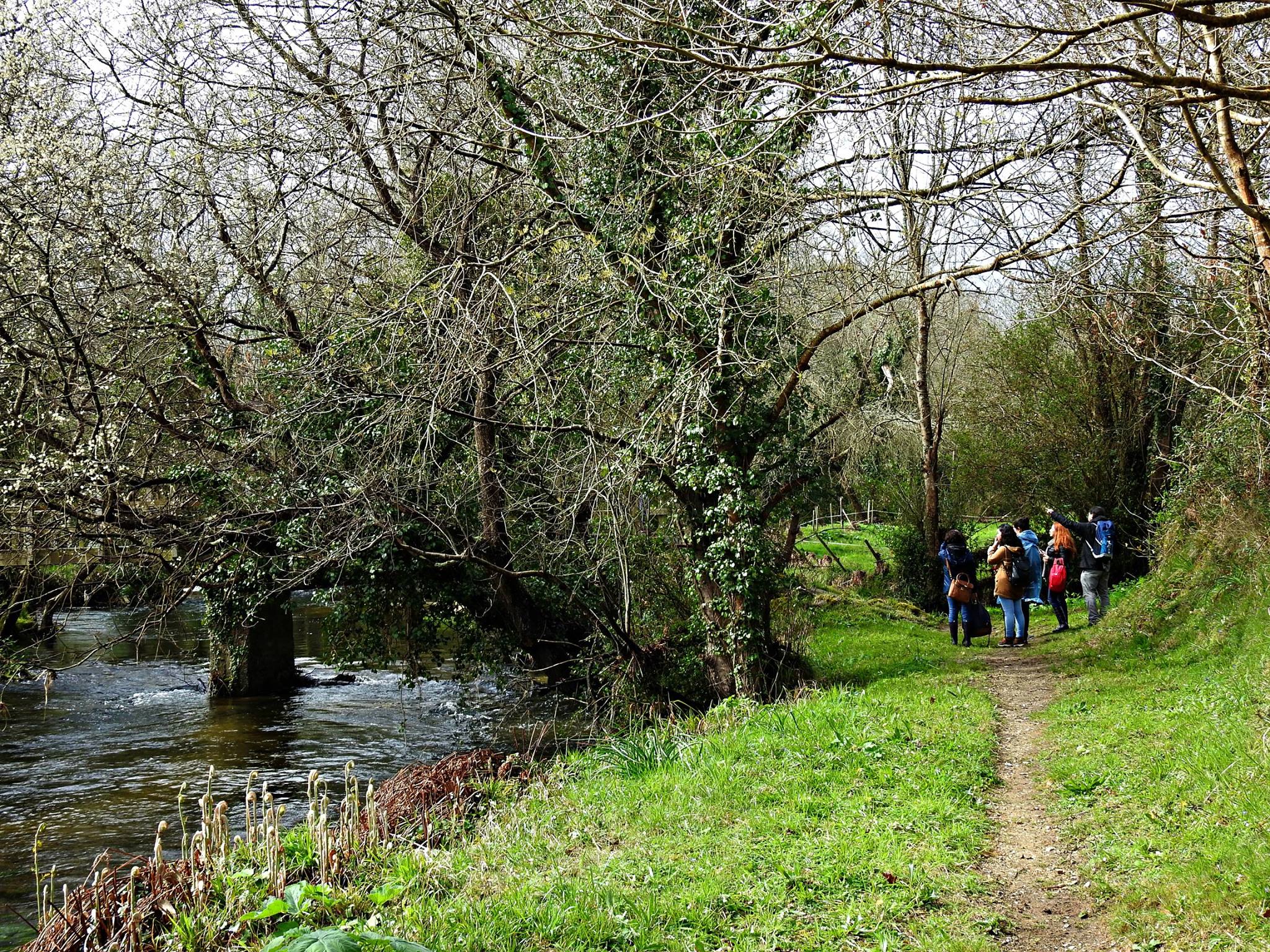 Paseando polo río Ouro