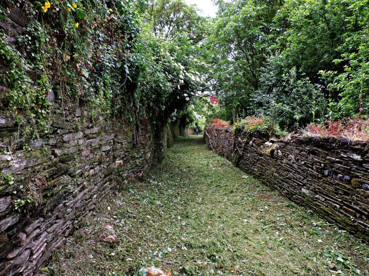 egueiro das Hortas, Vía Romana XIX, Camiño Primitivo a Santiago (Foto: Guido Álvarez Parga)