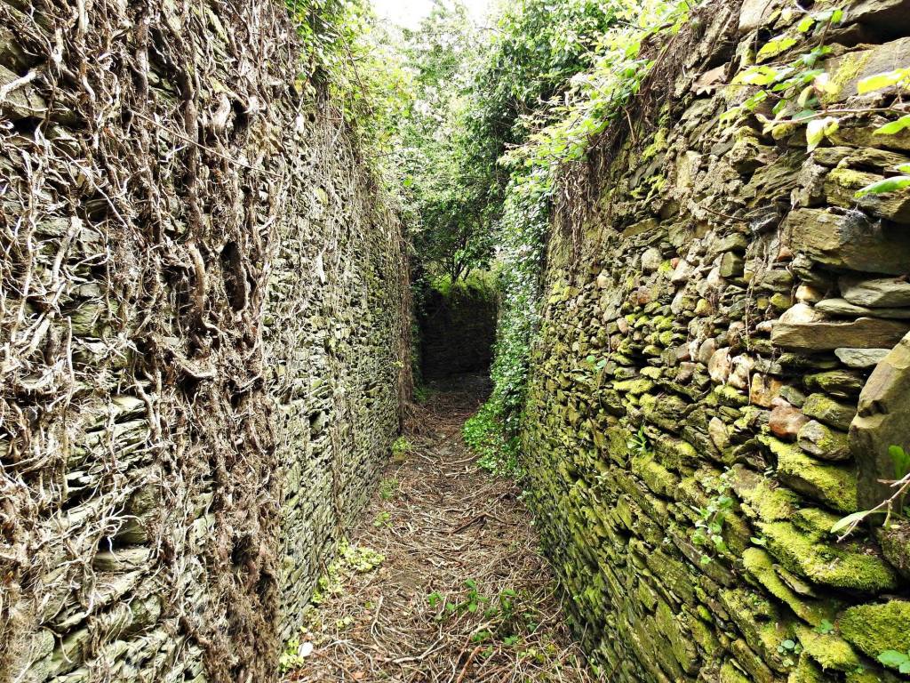 Esta imaxe ten o atributo alt baleiro; o se nome de arquivo é 004-altos-muros.jpg